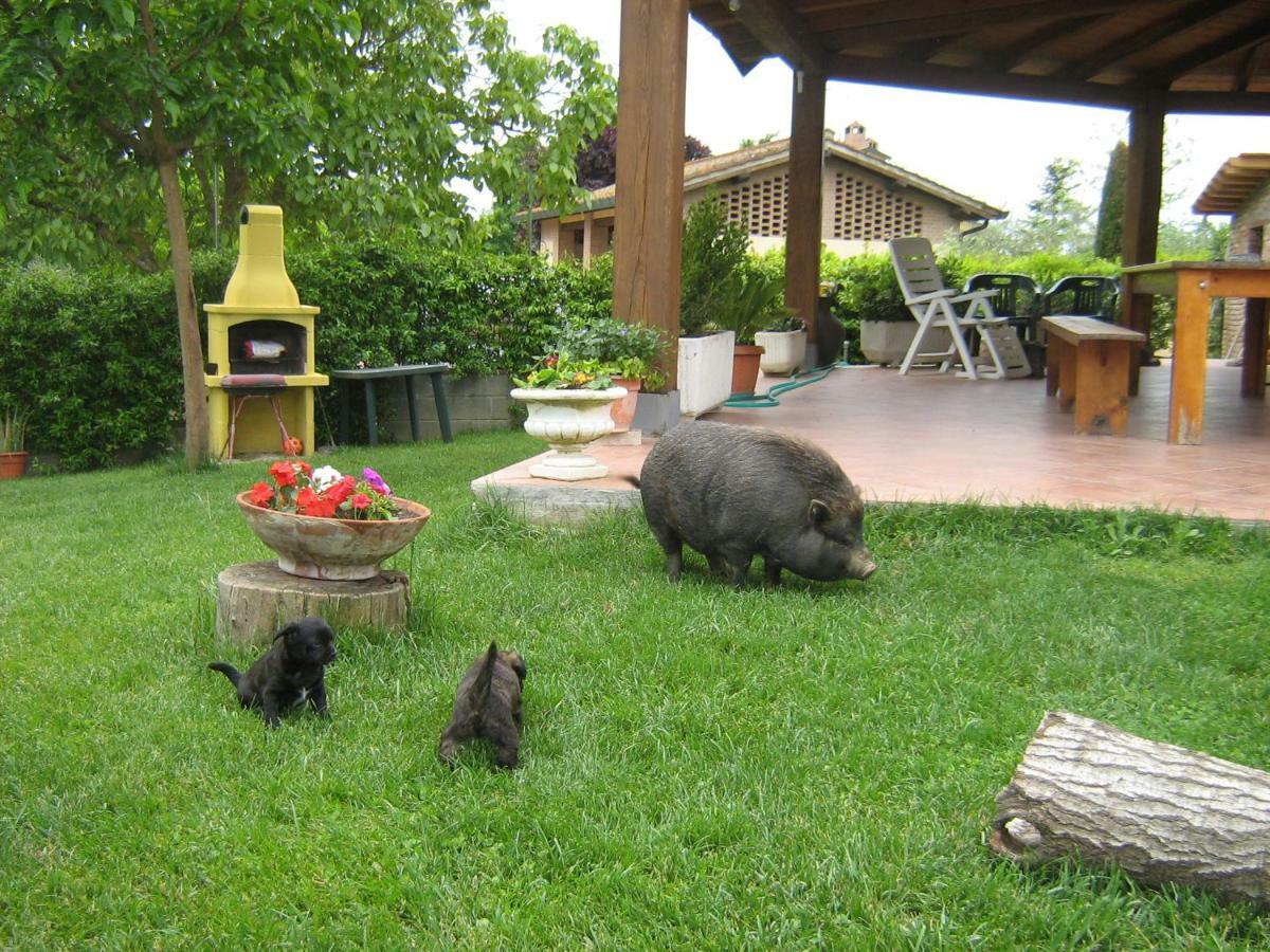 Il Poggio Hotel ปอนเตเดรา ภายนอก รูปภาพ